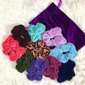Set of 10 Vibrant Velvet Solid & Animal Scrunchies w/Velvet Bag